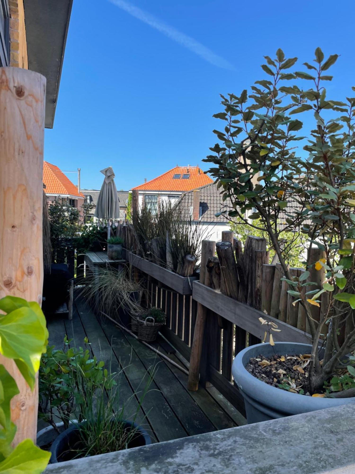 Pothuis Zuid Zandvoort Esterno foto